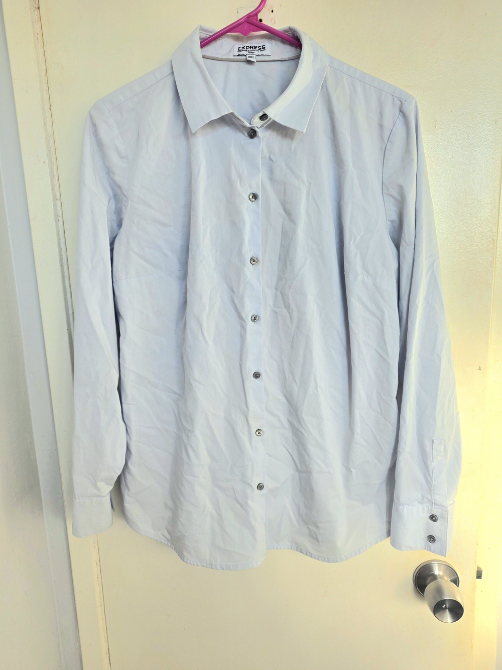 Express Women's Pale Blue Long-Sleeve Button-Down Shirt